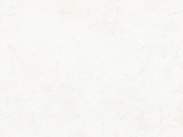 На изображении товар Living Ceramics Керамогранит Bera&Beren Ice Bush hammered 59,8x59,8 от официального представителя в Москве