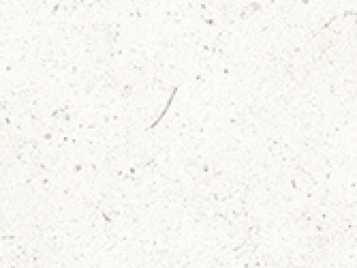 На изображении товар Living Ceramics Керамогранит Bera&Beren Ice Natural 4,8x59,8 от официального представителя в Москве
