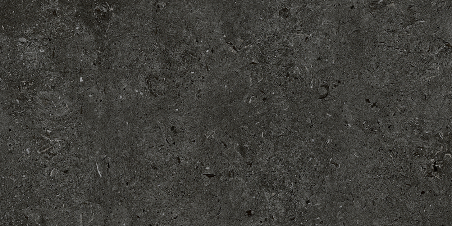Living Ceramics Керамогранит Bera&Beren Black Natural 29,8x59,8