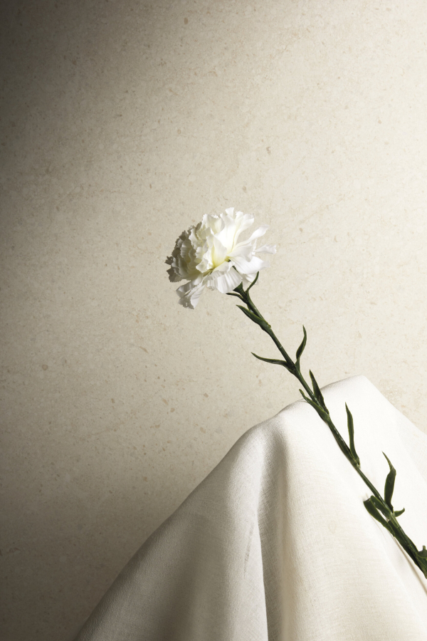 Iris Ceramica Керамогранит Victorian Stone Moon cream natural plus 120x60 - изображение 2