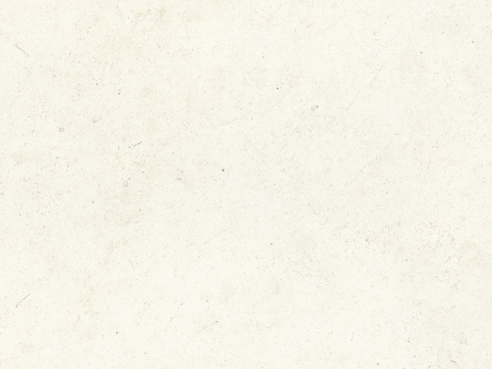 На изображении товар Living Ceramics Керамогранит Bera&Beren White Natural 44,8x89,8 от официального представителя в Москве