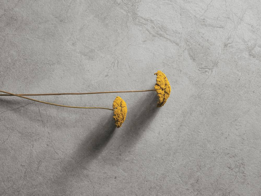 REFIN Керамогранит RIVER GREY R 120x120 - изображение 1