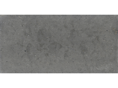 Iris Ceramica Керамогранит Whole Stone grey naturale 120x60
