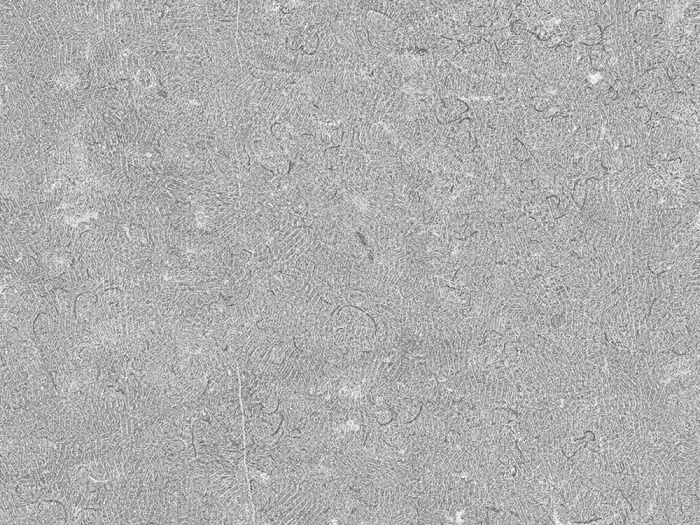 На изображении товар Living Ceramics Керамогранит Noon Grey Anti-slip 29,8x59,8 от официального представителя в Москве