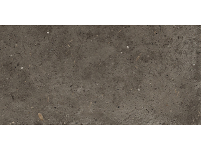 Iris Ceramica Керамогранит Whole Stone tobacco naturale 60x30