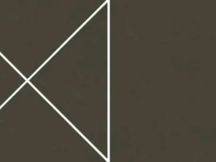 На изображении товар Living Ceramics Керамогранит Cava Pattern 3 Green Natural 7,3x29,8 от официального представителя в Москве