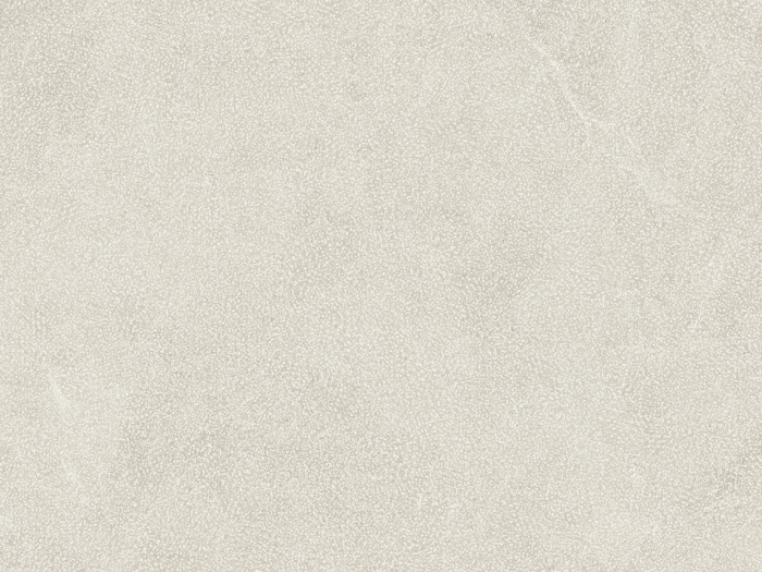 На изображении товар Living Ceramics Керамогранит Vonn Light Soft textured 44,8x89,8 от официального представителя в Москве
