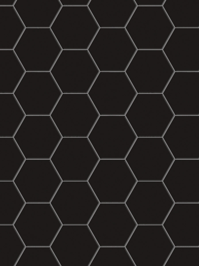 Terratinta Ceramics Керамогранит Hexa Floor Matt Black Swan Hexagon 14x16 / 8.5