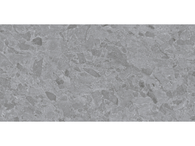 Living Ceramics Керамическая плитка Eme Ductile Grey Soft textured 59,8x119,8