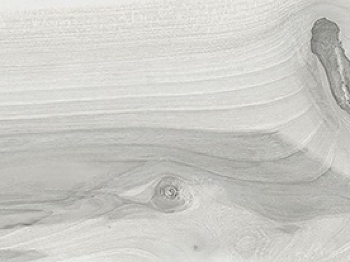 На изображении товар La Fabbrica Ava Керамогранит Kauri Awanui nat\ret 20x120 от официального представителя в Москве