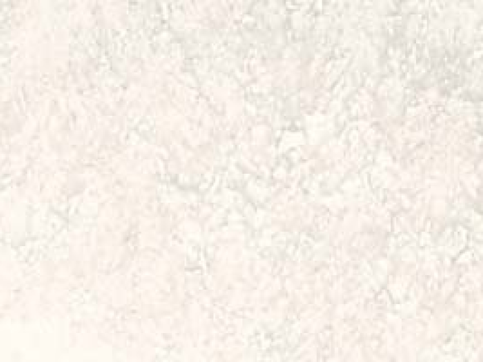 На изображении товар Santagostino Керамогранит Via Appia Vein Cut White 730 Kry, 7,3x29,6 от официального представителя в Москве