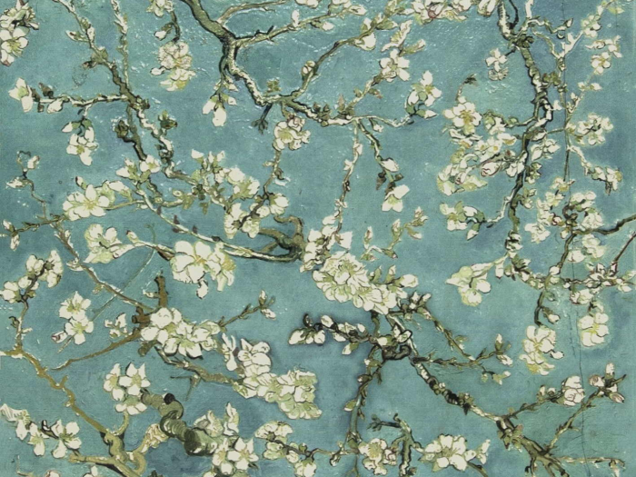 На изображении товар Akros Venezia Камень Artworks collection 2017 Van Gogh Inspiration Almond Blossom Bianco Perlino 40x40x1 от официального представителя в Москве