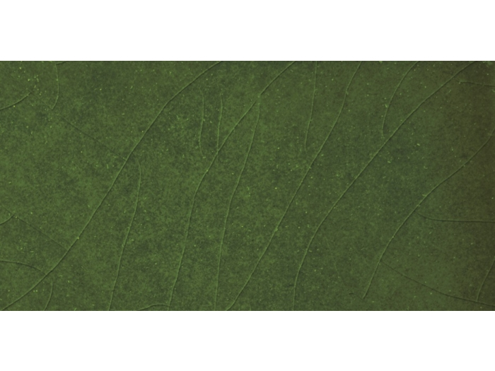 На изображении товар Etruria Керамическая плитка VICTORIA 7.4X15 Piano Emerald Green Craquele' от официального представителя в Москве