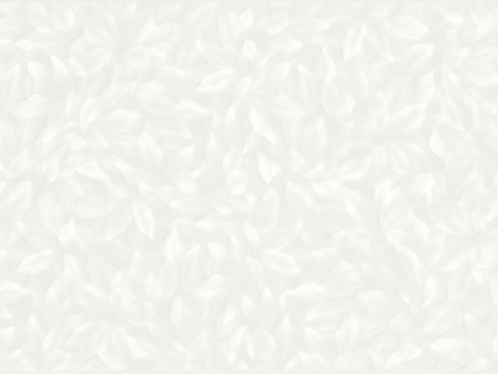 На изображении товар CERAMICHE GRAZIA Керамическая плитка ELEGANCE DECORO 35X102 SNOW MATT от официального представителя в Москве