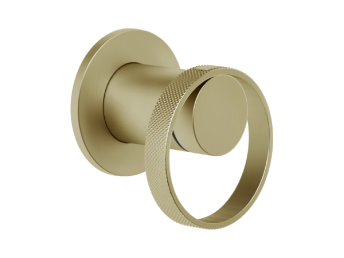 На изображении товар Cмеситель Gessi Anello, настенный, встраиваемый, без излива, на 1 потребителя, цвет Brushed Brass PVD от официального представителя в Москве