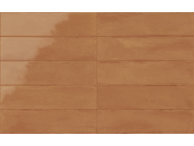 Iris Ceramica Керамическая плитка Elementi Rivestimento Cotto glossy 30x7,5