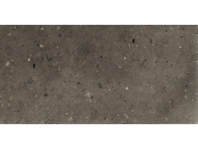 Iris Ceramica Керамогранит Whole Stone tobacco antislip 60x30
