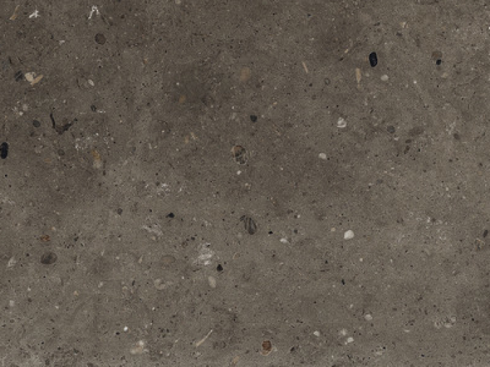 На изображении товар Iris Ceramica Керамогранит Whole Stone tobacco antislip 60x30 от официального представителя в Москве