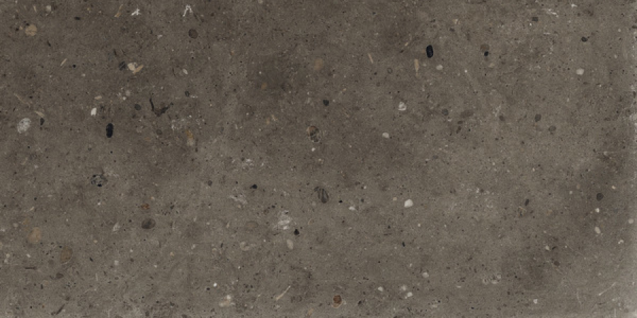 Iris Ceramica Керамогранит Whole Stone tobacco antislip 60x30