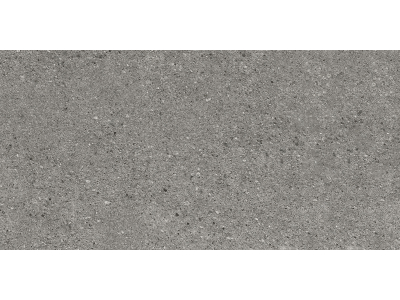 Iris Ceramica Керамогранит Victorian Stone Silver grey natural plus 60x30