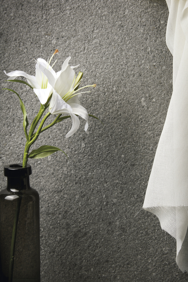 Iris Ceramica Керамогранит Victorian Stone Silver grey natural plus 60x30 - изображение 1