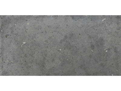 Iris Ceramica Керамогранит Whole Stone grey naturale 60x30